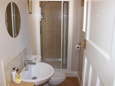 Picture 7